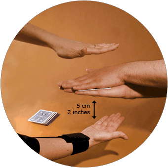 Fabrice's Platinum Akana